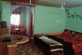 Goroomgo New Green View Srinagar