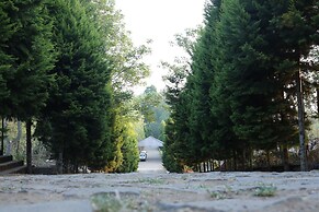 Yercaud Yellow Lake Resorrt and spa