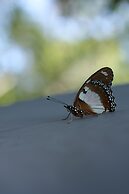 Yercaud Yellow Lake Resorrt and spa