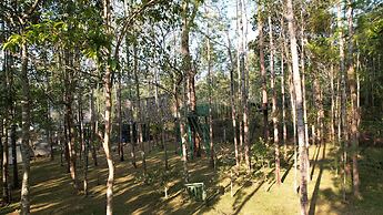 Yercaud Yellow Lake Resorrt and spa