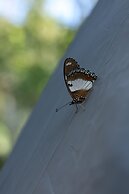 Yercaud Yellow Lake Resorrt and spa