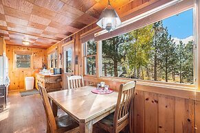 Chasm Cabin -- 20-ncd0048 1 Bedroom Cabin by RedAwning