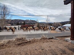 O'deer Cabin - Pet Friendly - Estes Park -- Ev#3241 2 Bedroom Cabin by
