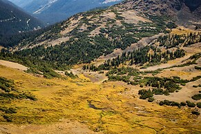 Longs Peak Cabin - Monthly Long-term Vacation Rental 30+ Days -- Estes