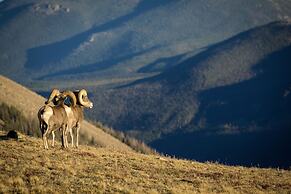 Longs Peak Cabin - Monthly Long-term Vacation Rental 30+ Days -- Estes