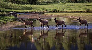 Longs Peak Cabin - Monthly Long-term Vacation Rental 30+ Days -- Estes