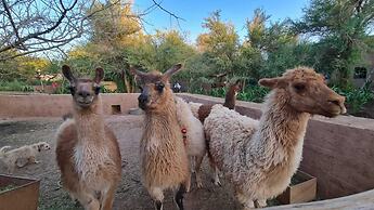 Ckoi Atacama Lodge