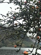 Lake View Holiday Apartments