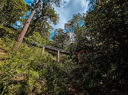 BACANA CABAÑAS DE ALQUILER