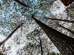 BACANA CABAÑAS DE ALQUILER