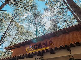 BACANA CABAÑAS DE ALQUILER