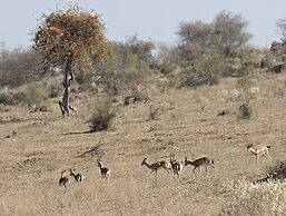 MANVĀR Kumat Thar Serenity Camp