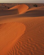 MANVĀR Kumat Thar Serenity Camp