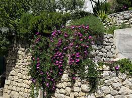 Holiday Home Sunrise