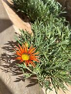 ART POiNT GUESTHOUSE