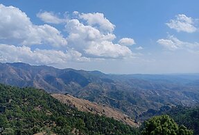 Green Palms Rubystone Exotic