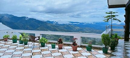 Green Palms Rubystone Exotic