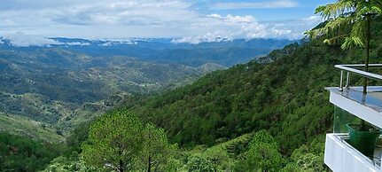 Green Palms Rubystone Exotic