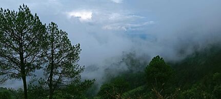 Green Palms Rubystone Exotic