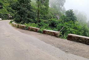 Green Palms Rubystone Exotic