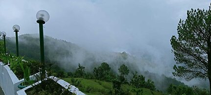 Green Palms Rubystone Exotic