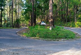 Green Palms Rubystone Exotic