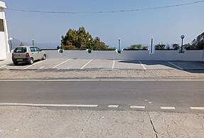 Green Palms Rubystone Exotic