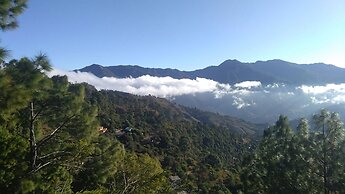 Green Palms Rubystone Exotic