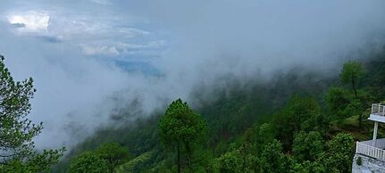 Green Palms Rubystone Exotic