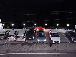 Green Palms Rubystone Exotic