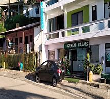 Green Palms Rubystone Exotic