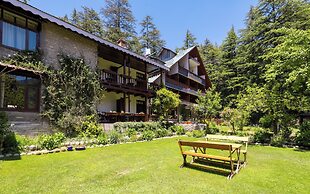 Bedzzz Xclusiv Baikunth Manali by Leisure Hotels