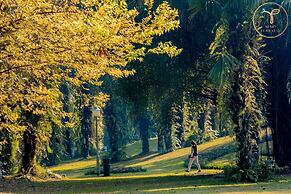 Armin Homes Studio Haven Park Ecopark