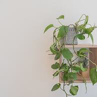 Nonna Tere Apartment