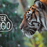 Lion House Chester - Very Near Zoo Ideal for Families