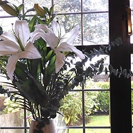 Lion House Chester - Very Near Zoo Ideal for Families