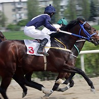 The Lombard House - City Centre