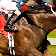 The Lombard House - City Centre