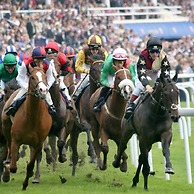 The Racecourse Gathering 5 Bed - Sleeps 12 City Centre