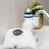 The Eisteddfod - Berwyn House Central Wrexham