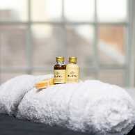 The Maelor - Berwyn House Central Wrexham