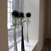 The Maelor - Berwyn House Central Wrexham