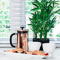 The Gillygate Gathering - Sleeps Up To 16 York City Centre