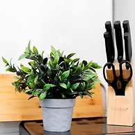 The Clifford Gathering - Sleeps Up To 10 York