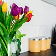 The Clifford Gathering - Sleeps Up To 10 York