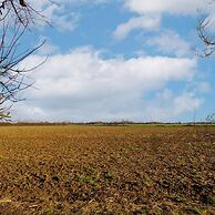 Designer Seaside Escape King Beds Scenic View