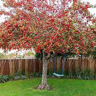 Insta-worthy 4br Designer House 5 min to the Beach