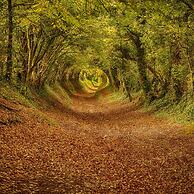 Gorgeous Home for 12 - Walk to Beach - Sea View