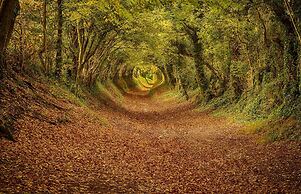 Gorgeous Home for 12 - Walk to Beach - Sea View