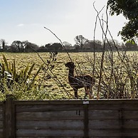 3bd Family Beach Retreat in West Wittering